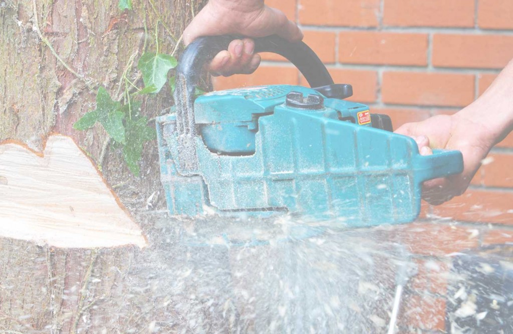 treeservicesthenorthwest Preston Tree Services Discount Tree